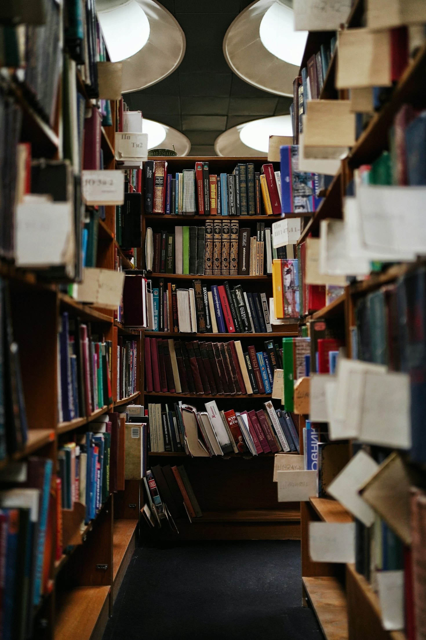 Reflections on Recent Literary Accomplishments